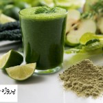 دانلود پاورپوینت استفاده مفید از جلبک ها