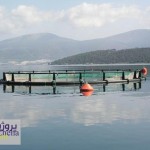 ﺷﯿﻮﻩ ﻧﺎﻣﻪ ﻧﺎﻇﺮ ﺑﺮ ﺻﺪور ﻣﺠﻮزهای آﺑﺰی ﭘﺮوری ﺗﻮﺳﻂ ﺳﺎزﻣﺎن ﻧﻈﺎم ﻣﻬﻨﺪسی کشاورزی و منابع طبیعی