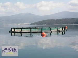 ﺷﯿﻮﻩ ﻧﺎﻣﻪ ﻧﺎﻇﺮ ﺑﺮ ﺻﺪور ﻣﺠﻮزهای آﺑﺰی ﭘﺮوری ﺗﻮﺳﻂ ﺳﺎزﻣﺎن ﻧﻈﺎم ﻣﻬﻨﺪسی کشاورزی و منابع طبیعی