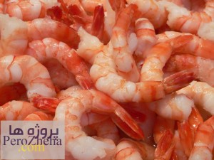 پرورش و تولید میگو