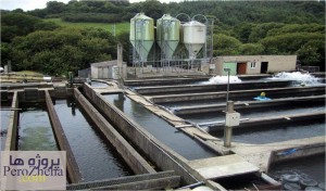 پاورپوینت سیلاژ ماهی