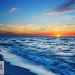 اطلس ماهیان