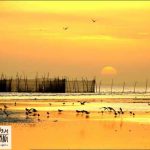 مطالعات اقلیم بندرعباس