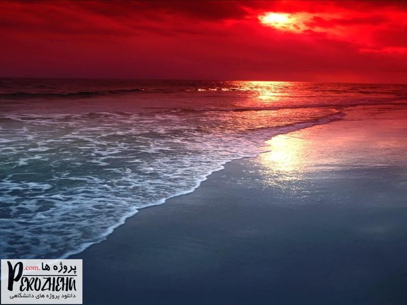 پاورپوینت ماهی مرکب