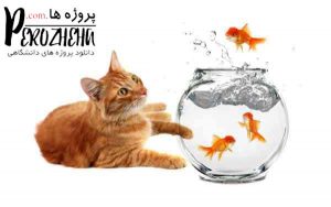 استرس در ماهی