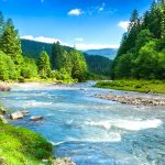 دانلود پاورپوینت تصفیه لجن