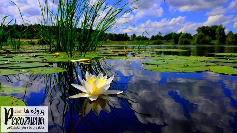 پاورپوینت قوانین و مدیریت تالاب ها