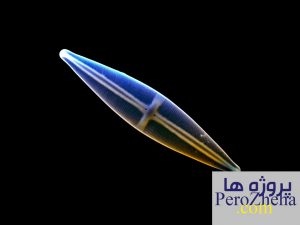 پاورپوینت پلانکتون ها