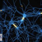 پاورپوینت آسیب شناسی روانی