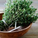 پاورپوینت معرفی گیاه آویشن