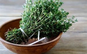 پاورپوینت معرفی گیاه آویشن