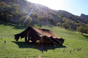 پاورپوینت نقش معماری در سیاه چادر کوچ نشینان